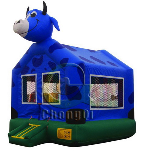 residential inflatable bouncers
